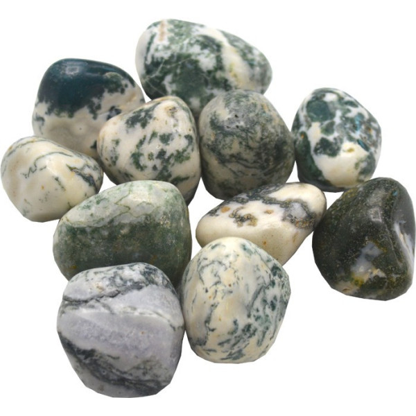 tree agate stone