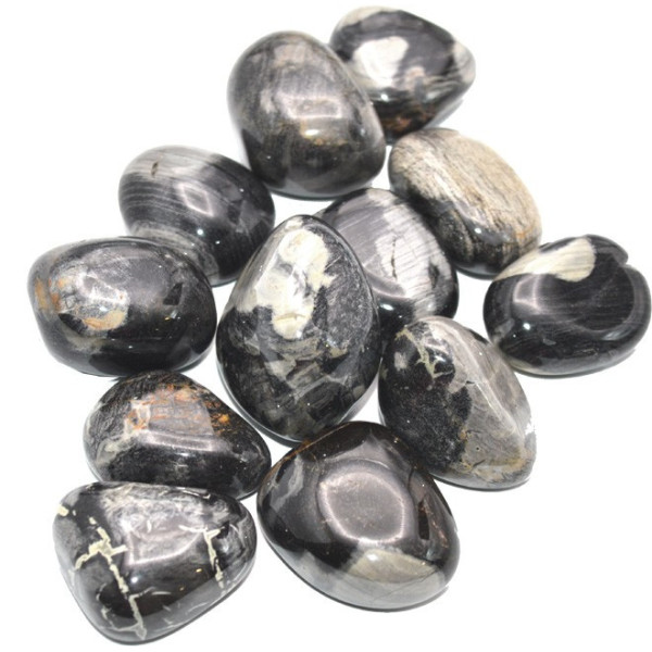 Silver Leaf Jasper Rolled Stone Quality A In 3 To 4 Cmfffffffffffffffff