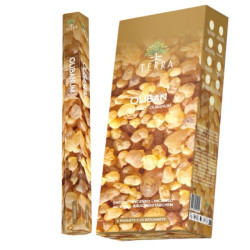 Encens bâtons Terra oliban 30 gr