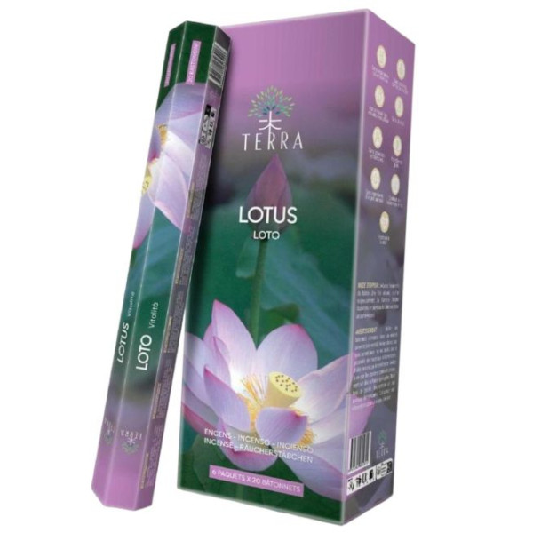 Encens bâtons Terra lotus 30 gr