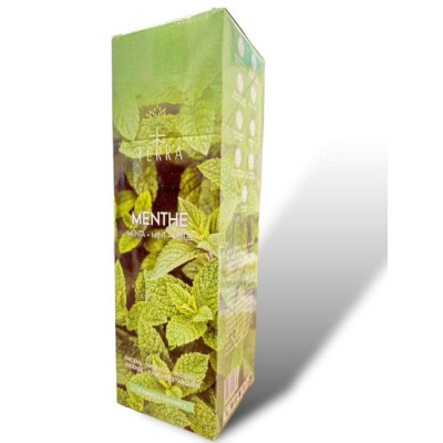 Encens bâtons Terra menthe 12 gr