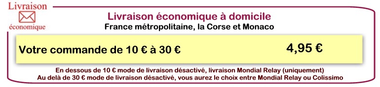 livraison économique à domicile